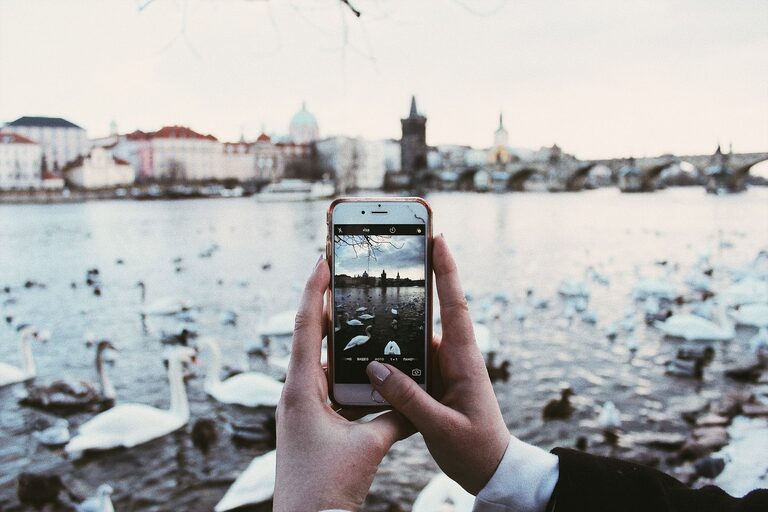 Easy Beginner Tips for Taking Better Phone Photos
