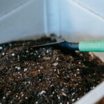 Beginner Tips for Composting at Home: A Simple Guide